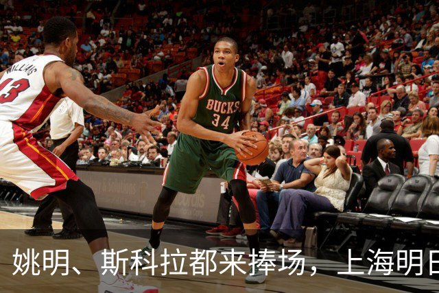 姚明、斯科拉都来捧场，上海明日之星篮球争冠赛有何魔力？